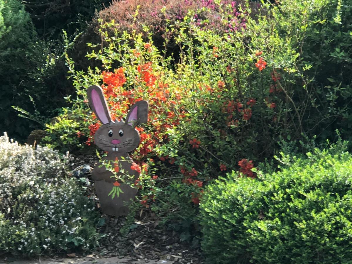 Bien être et détente chez côté campagne et jardin Ohnenheim Esterno foto